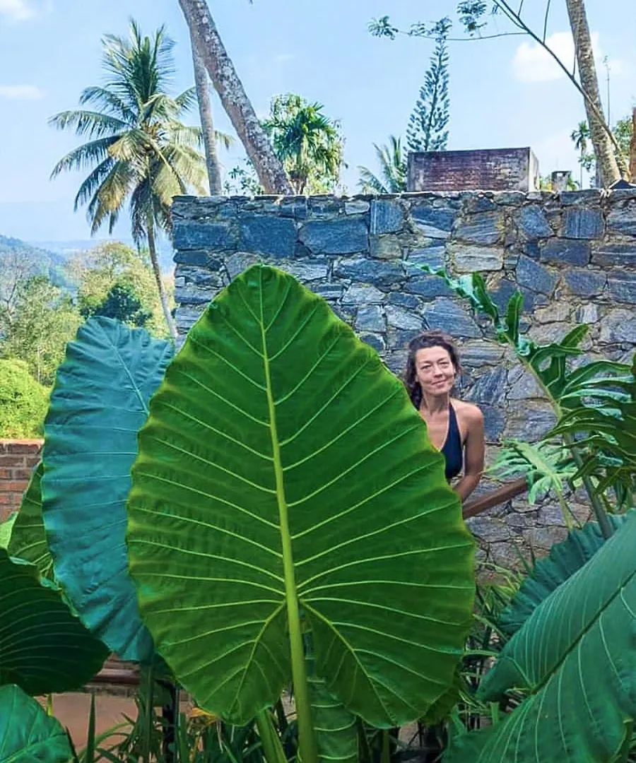Hotel Kandy Bird Villas