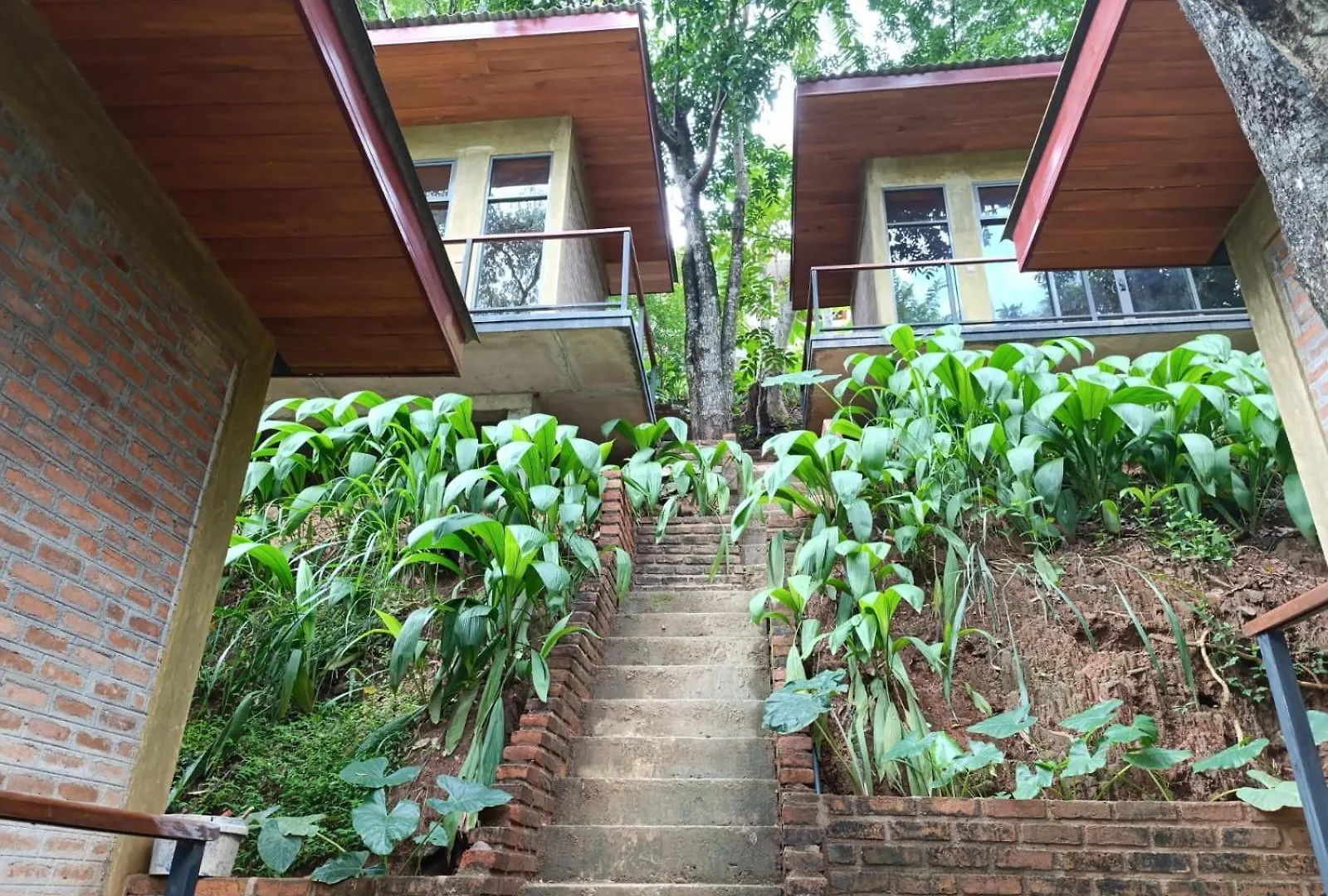 *** Hotel Kandy Bird Villas Sri Lanka